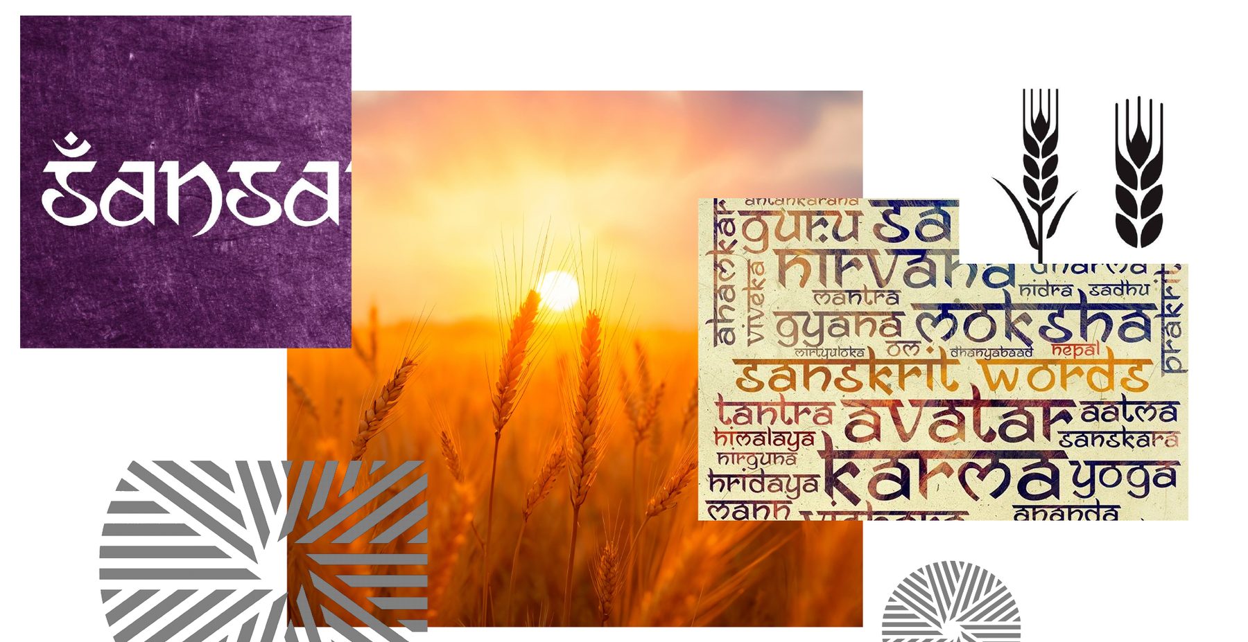 Mill-it visual moodboard inspired by grains and Indian roots